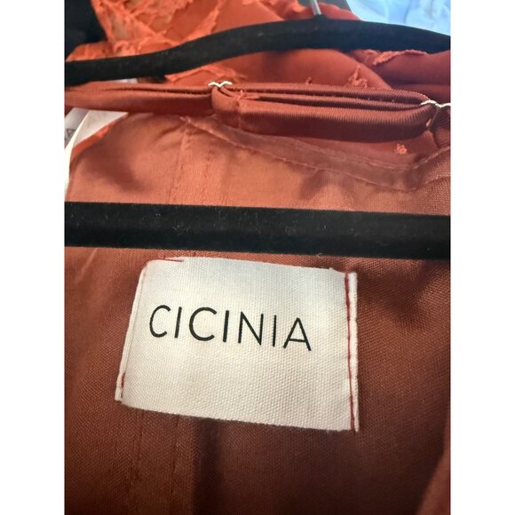 Cicinia Bridesmaid Satin Maxi Dress Sz 0 NWT Rust Terracotta Draped Square Neck - Picture 12 of 13